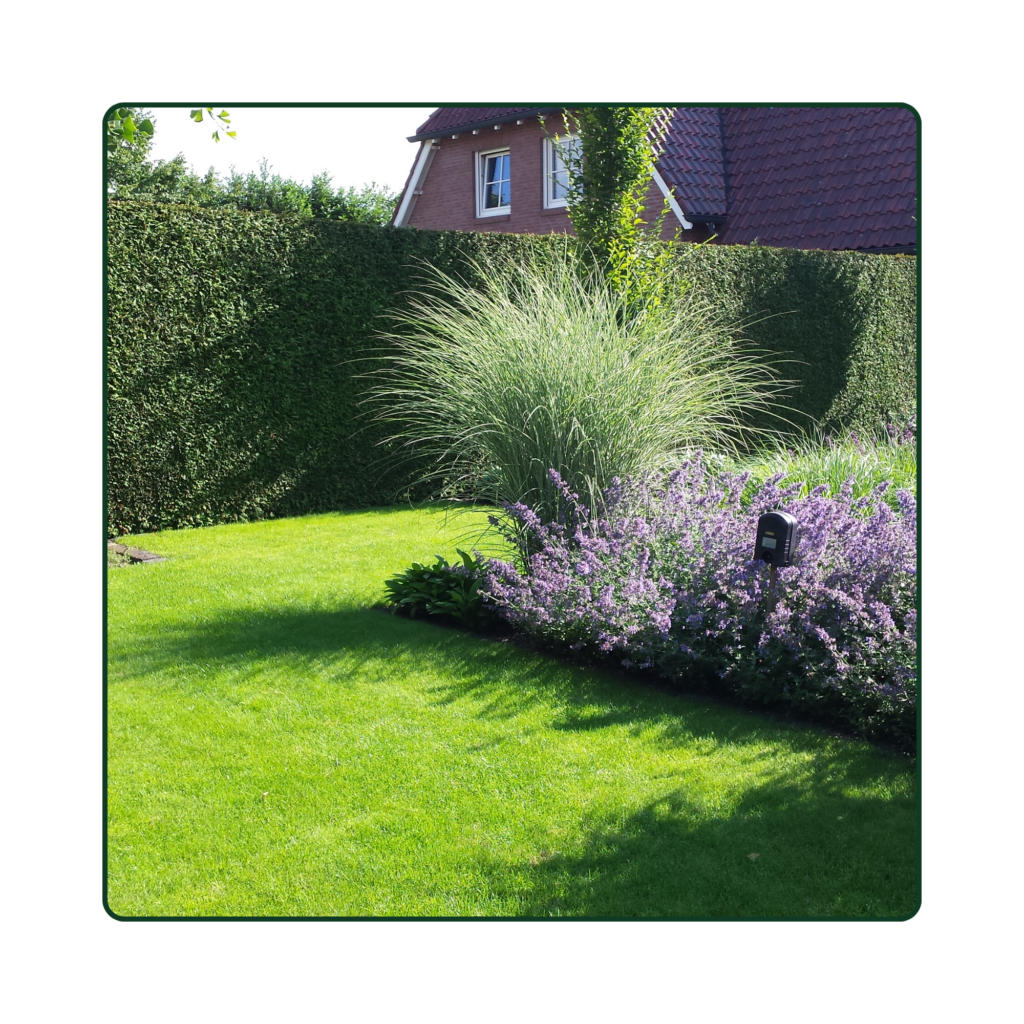 foto tuinonderhoud