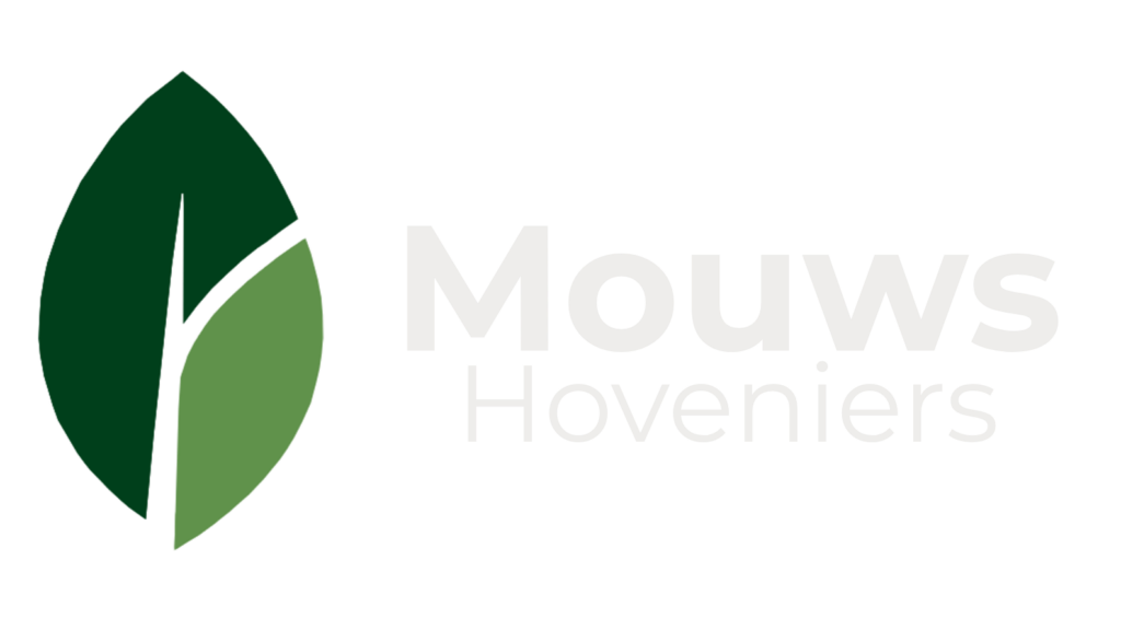 logo 5.1